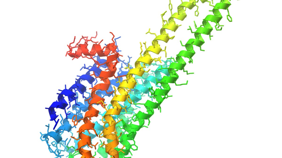 G-protein-coupled receptor structural model — the binding pocket a multi-agonist peptide must satisfy on every receptor arm; a Nonagonist feature by Panacea Bio Chem and Bogdan Dicoias